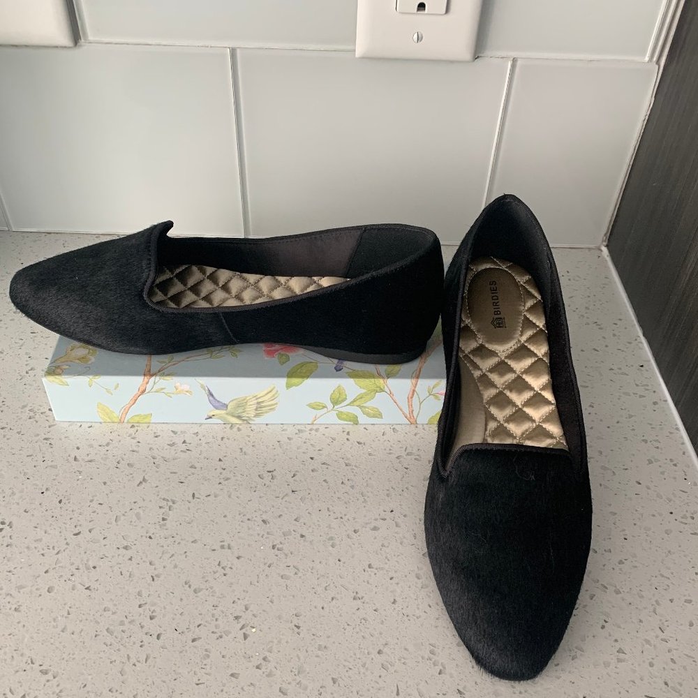 Birdies The Blackbird